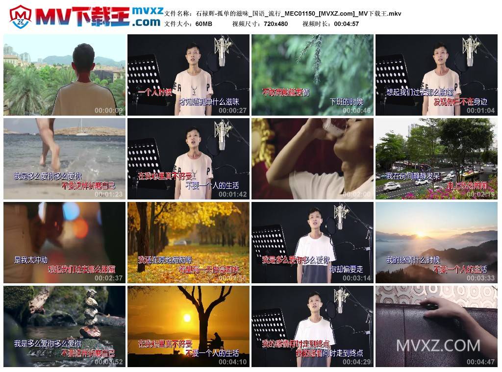 石禄辉-孤单的滋味_国语_流行_MEC01150